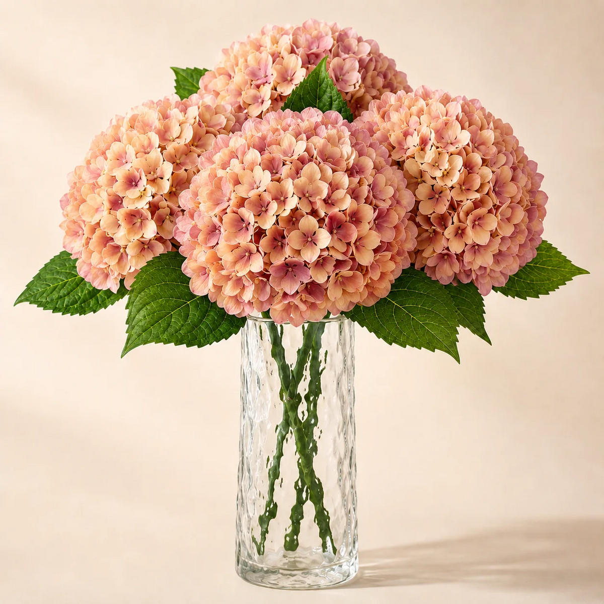 Syksyn väriset Everbloom Real Touch -keinohortensiat